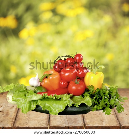 Vegetable. Fresh tasty vegetables isolated on white