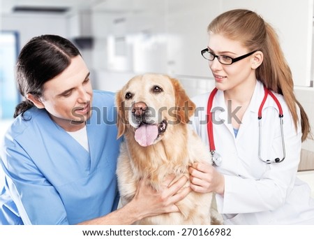 Veterinarian. Dog at the vet with his owner and the doctor