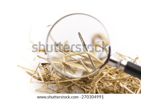 Achievement. Hand lens that magnifies a needle in a haystack