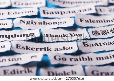 Thank. Thank You Word Cloud  printed on  paper on blue font