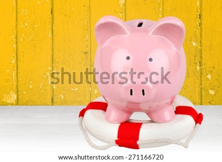 Piggy Bank. Financial Rescue