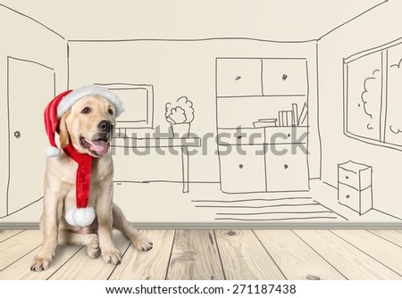 Pet. Retriever puppy in a Santa Claus hat, isolated on white