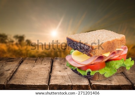 Sandwich. Turkey Sandwich