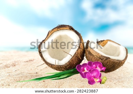 Coconut, Tropical Climate, Flower.