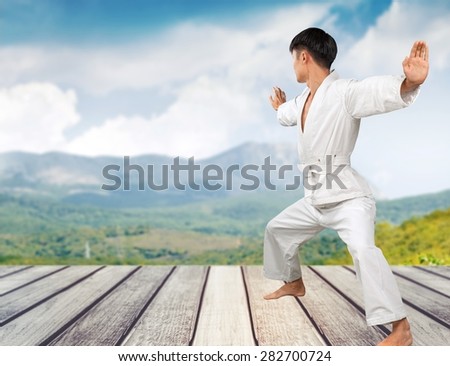 Karate, Martial Arts, Judo.