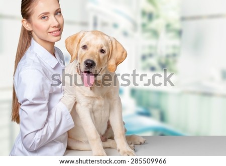 Vet, Veterinary Medicine, Dog.