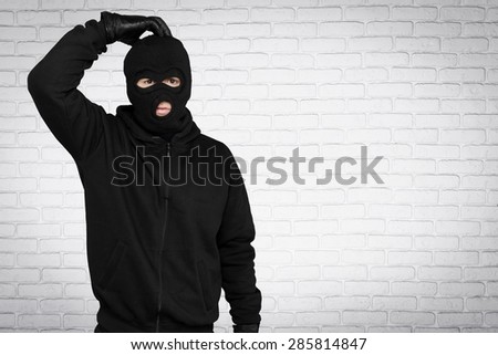 Burglar, Thief, Computer Hacker.