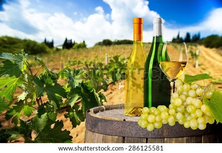 Wine, vineyard, glass.