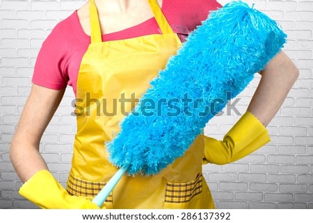 Cleaning, Cleaner, Maid.