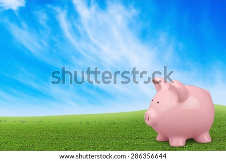 Piggy Bank, Pig, Savings.