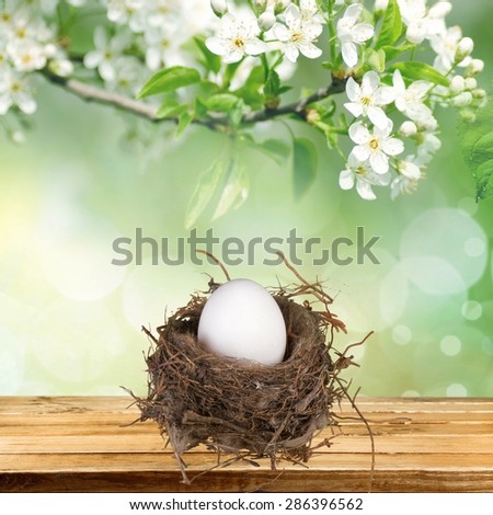Eggs, Animal Nest, Nest Egg.