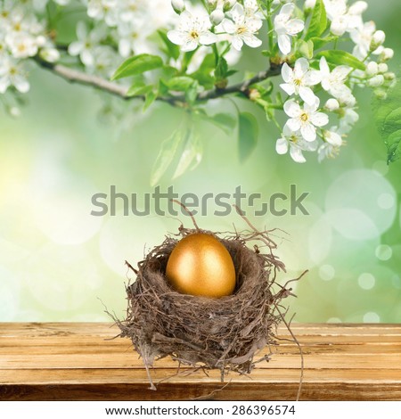 Nest Egg, Eggs, Animal Nest.