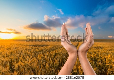 Human Hand, Sun, Spirituality.