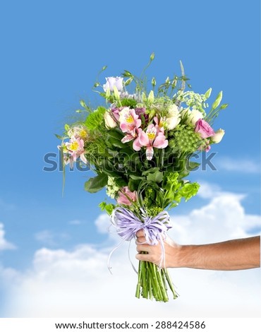 Flower, Human Hand, Bouquet.