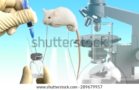Mouse, Laboratory, White.