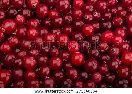 Cranberry, Red, Fruit.