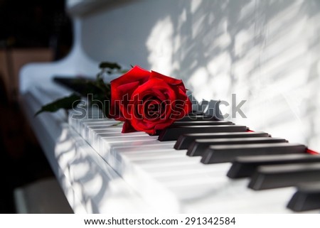 Wedding, Piano, Music.