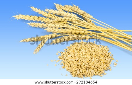 Wheat, Cereal Plant, Seed.