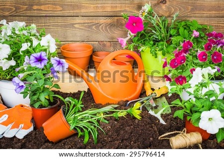 Spring, gardening, garden.