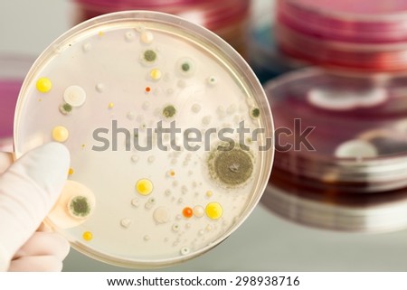 Microbiology, Petri Dish, Biotechnology.