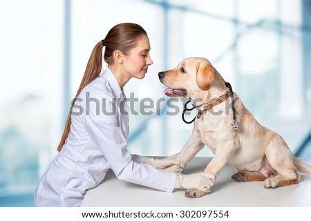 Pet, health, dog.