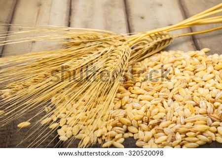 Processed Grains.