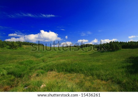 mountain landscape, beautiful summer weather, blue sky
