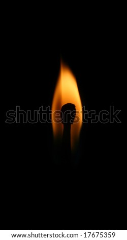 burning matchstick, flame, fire, dangerous forces of nature