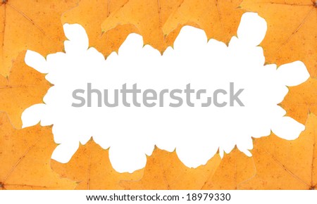 yellow leaves frame, background, insert your text