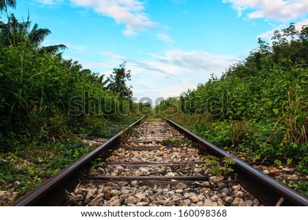 Old forest tracks used to transport