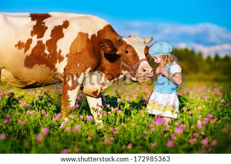 A Cute Little White Girl In A Blue Cap Feeding Her Big Cow On A Piece Of Bread In A Green Field With Flowers On A Sunny Summer Day
