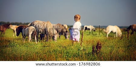 A cute white girl in jockey boots walking among little pony in the field on a sunny summer day