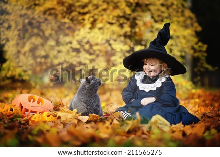Little cute girl in black witch costume and a magic hat sitting among orange leaves with British blue cat in a sunny autumn day. Halloween. National holidays and traditions. Fairy tale. Funny kids.