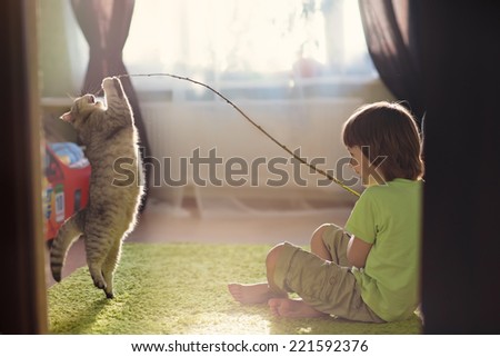 A little cute boy playing with cat dancing attendance