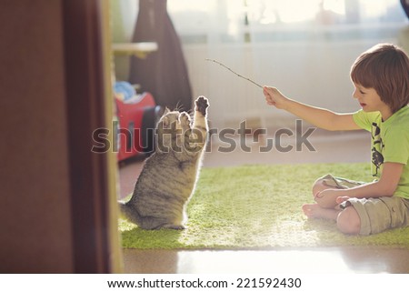 A little cute boy playing with cat
