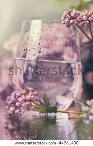 Glass of water in a garden with rose flowers