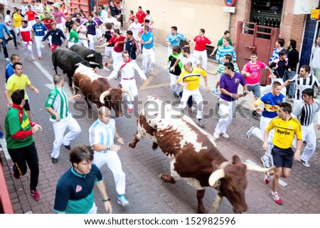 MADRID SUBURB OF SAN SEBASTIAN DE LOS REYES -SEPT. 29, 2013: Men run from the bulls on the street of San Sebastian de los Reyes during festival, Spain 2013. Fiesta called \