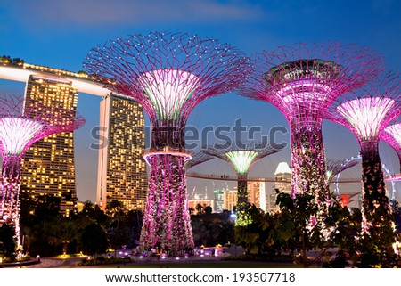 SINGAPORE - JANUARY 22: Night view of The Supertree Grove at Gardens near Marina Bay January 22, 2014,  Singapore. Gardens by Bay was crowned World Building of Year at World Architecture Festival 2012