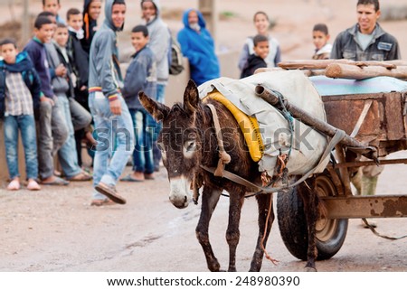 Arazane, Morocco - November 29: The Moroccan carries on the wagon personal belongings during floods in region of Souss Massa Draa, Morocco, November 29, 2014