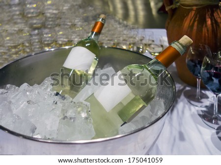 Close-up of white wine bottles in metal ice bucket. Cooler with ice cubes.
