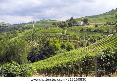 Summer panorama of the hilly region of the Langhe (Piedmont, Northern Italy) full of vineyards of the famous wine â??Baroloâ?�.