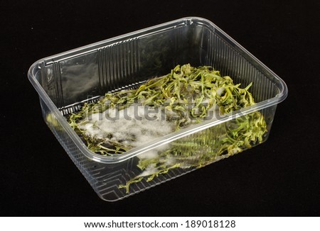 Molded vegetables in the plastic container