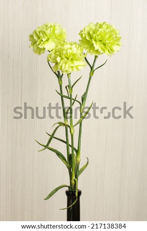3 carnation flowers in front of wooden wall
