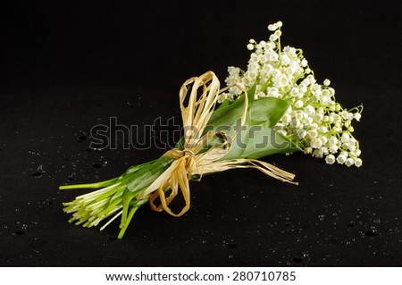 Bouquet of wild forest isolated on the black background