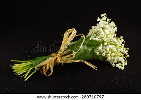 Bouquet of lilies of the valley isolated on the black background