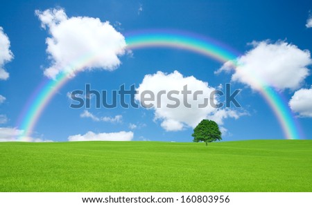 Green field with lone tree and rainbow