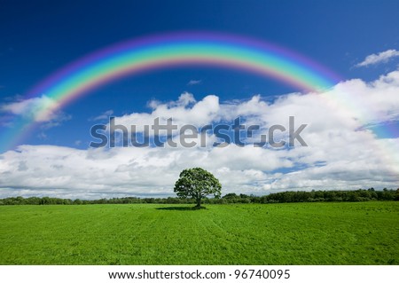 Beautiful colourful rainbow over an empty green field with a single line of trees on the skyline.