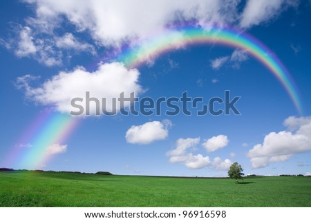 Beautiful colourful rainbow over an empty green field with a single line of trees on the skyline.