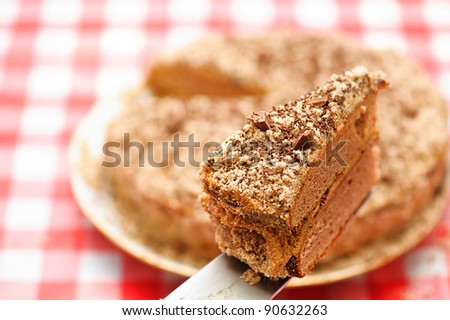 cut piece of cake on knife on the background of the whole cake on plate, checkered tablecloths