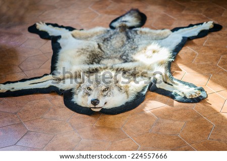 Killed wolf pelt on floor of luxurious villa.